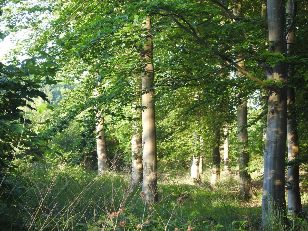 Aa Strand Camping Ebberup Екстериор снимка